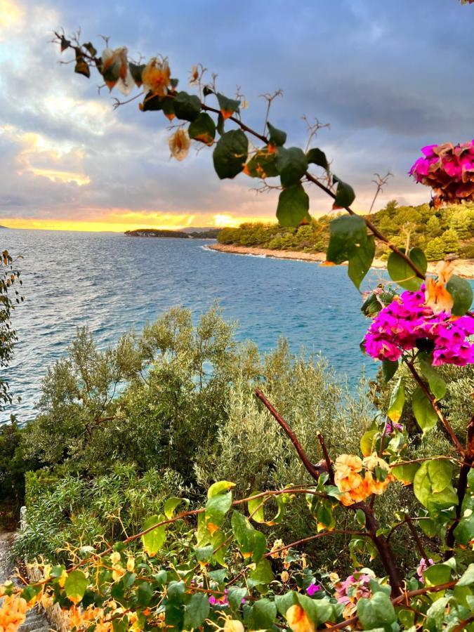 Luxury Beachfront Villa Carlisa Čiovo المظهر الخارجي الصورة